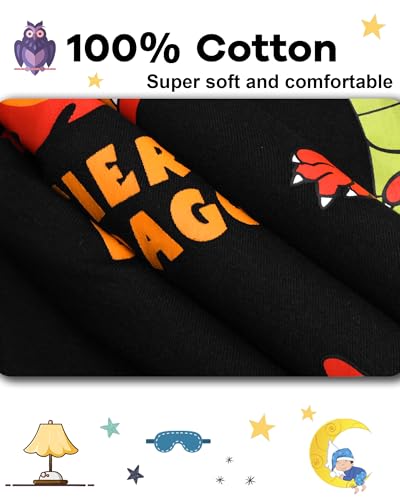 Image of DAUGHTER QUEEN Boys Long Sleeve Pajamas Toddler Kids Pjs 5T Soft Cotton Pj Children Sleepwear Jammies Dragon Clothes Size 5 Year Old Small Loungewear Set Nightwear