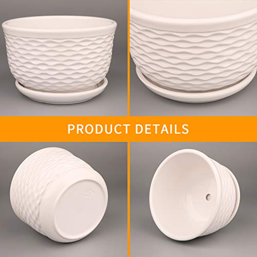 Ufrount White Ceramic Planter Pot with Drainage Holes, Succulent Planter Pots Planting Pot Flower Pots for Mini Plant Perfect for Garden, Kitchen, Windowsill - Set of 3 (3 Sizes) - Thumbnail 5