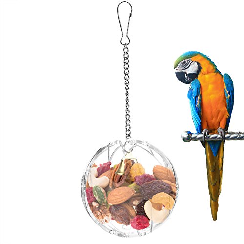 parakeet foraging toys