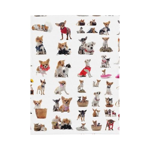 Couverture carlin flanelle super douce cadeau lit canapé - 3