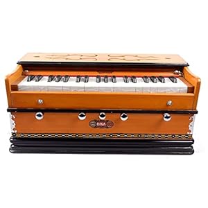 Professionele Harmonium Standaard Harmonium Harmonium BINA nr. 10 Beste Kwaliteit Harmonium