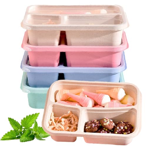 Hoqque Porta Pranzo Lunch Box 4 Set Portamerenda Bambina Portapranzo Scuola Bento Bambino Schiscetta Plastica Contenitori Ufficio Ermetico Lunchbox