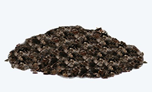 Después de relleno de alforfón Pack 2kg