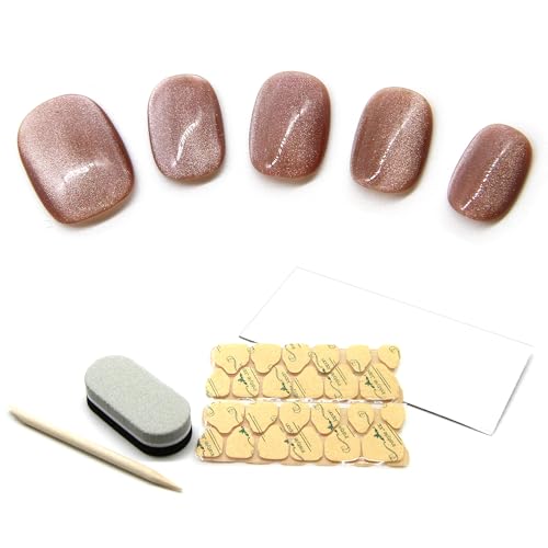 lC`bv V[g   i _ fUC SV[t JԂg P[XtZbg ([, XS)