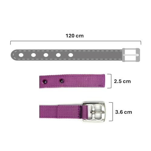 ES5012 Nylon Steigbügelriemen Set für Dressursattel und Vielseitigkeitssattel. Reißfeste mit Edelstahlschnallen in vielen Farben. Verstellbare Riemen für Erwachsene und Kinder (Brombeer, 120 cm)