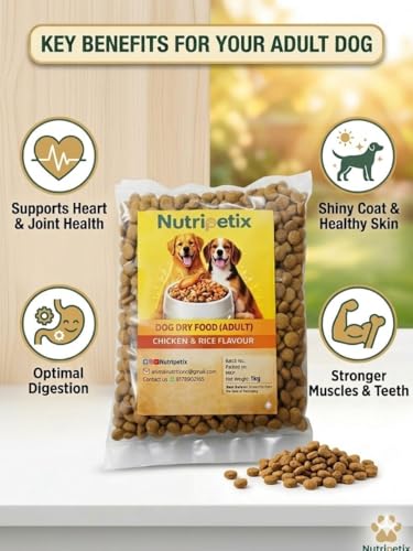 Image of Premium Dry Dog Food for Adult Dogs - Chicken & Rice Recipe (1kg)