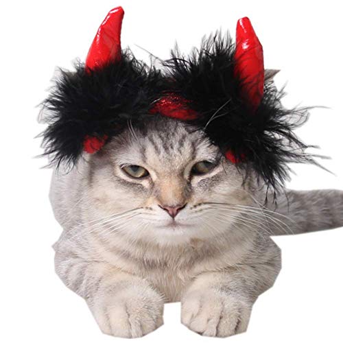 Our Top 16 Best Cat Devil Costume In 2022 You Should Try CCE Review