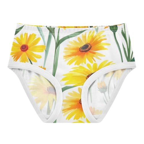 Toddler Underwear Custom 2t Cotton Cute Panties Girl Animal Briefs Underpants Yellow Orange Wildflowers White