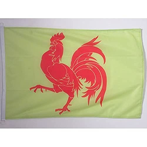 AZ FLAG, Wallonia Flag, 3x5 Ft, For Outdoor, Belgium, Walloon Banner Knitted Polyester with Two Plastic Rings, Fade Resistant