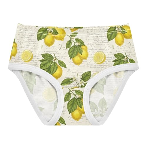 Vintage Yellow Lemons White Floral Little Girl Panties Girls Underwear Toddler Cotton Print Briefs Kids Undies 2t