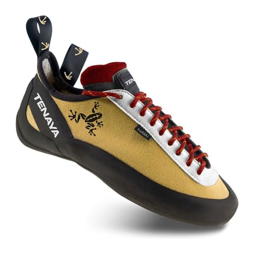 Chaussures de course à pied Tenaya Masai pour vos sorties nature et running urbain