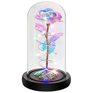Rose Flower Gifts For Her,Birthday Gifts for Women Rose Gifts for Mom,Light Up Rose in Glass Dome,Colorful Artificial Flower Rose Gifts for Mom,Women Gifts Ideas for Wife,Mom,Anniversary,Wedding Gifts