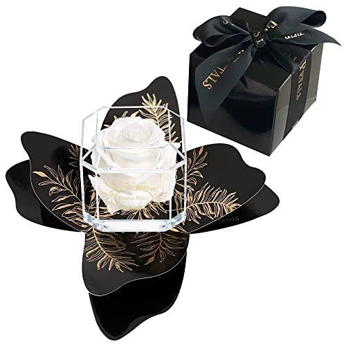 A 100% Real Rose That Lasts Years - Eternal Petals, Handmade in UK – Gold Solo + Gift Wrapping (White)