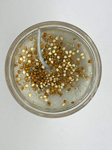 Virgen de la Caridad del cobre