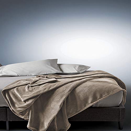 Sunbeam King Premium Soft Electric Heated Blanket Velveteen Plush 20 Heat Settings, Dual Controls (Mushroom Beige) #TOP2