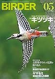 BIRDER (バーダー) 2026年 05月号 [雑誌]