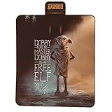 BLUE SKY, Manta de Picnic Dobby de Harry Potter