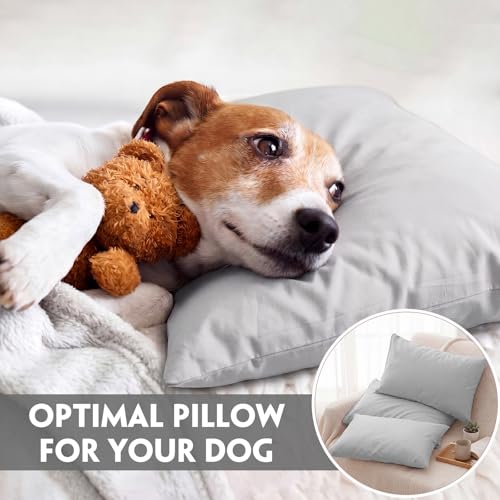 Image of Kigley 6 Pack Mini Pillows Bulk Small Pillows 18 inchx13 inch Soft Travel Nap Pillow for Daycare Nap Time Pet Neck Lumbar