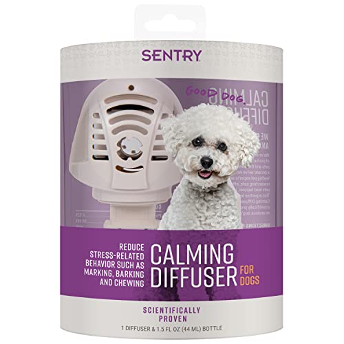 10 Best Calming PlugIns for Dogs to Soothe Anxiety and Stress