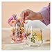 RITZENHOFF 2932001 Universal Glass Set of 2, 500 ml, Sommertau Allround Series, Floral Style, Multi-Colour, Made in Germany