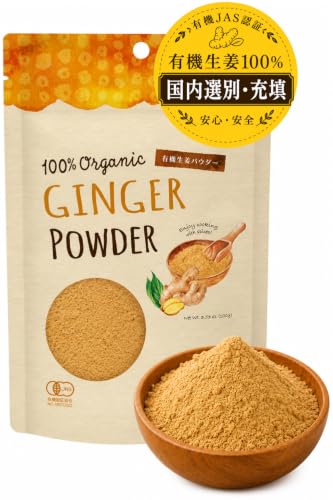 有機生姜パウダー100g オーガニック しょうが ジンジャー (1袋)