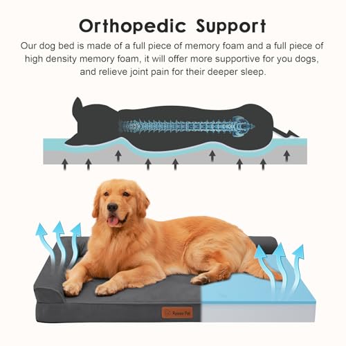 Image of Rainmr Microsuede Dog Bed for Small & Medium Dogs - Orthopedic Dog Bed with Removable Washable Cover, Memory Foam Pet Bed Mat, 44x32 Inches, Dark Grey