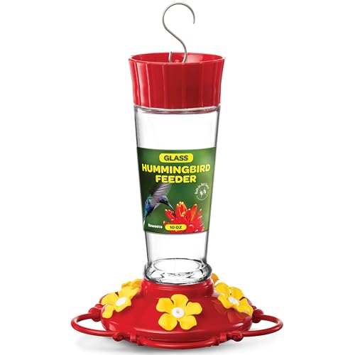 Hummingbird Feeder 10 oz Glass Hummingbird Feeders for Outdoors, with Built-in Ant Guard - Circular Perch with 5 Feeding Ports - Wide Mouth for Easy Filling/2 Part Base for Easy Cleaning
