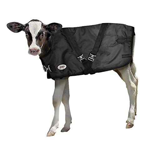 Neogen CALF SENSE CALF WARMING BLANKET zwart groot 24"