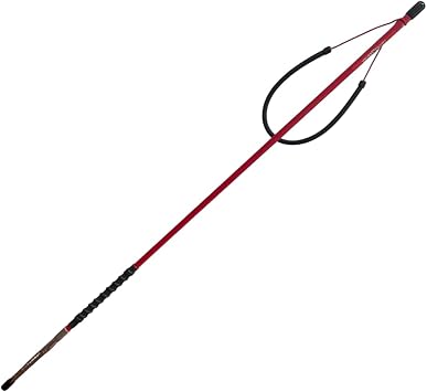 ZooKeeper - Lionfish Predator Sling Spear with Paralyzer Tip Red with Extra Band