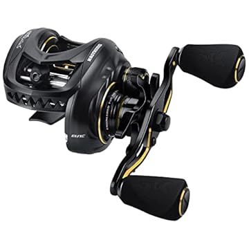 baitcaster with flipping switch