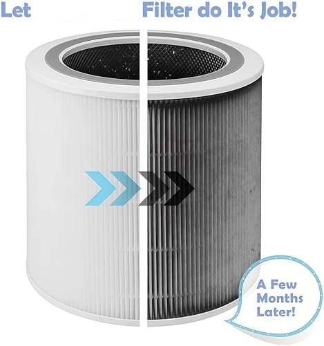 Filtre Core 400S charbon actif capture odeurs et poussière pour purificateur 400S-P - 4
