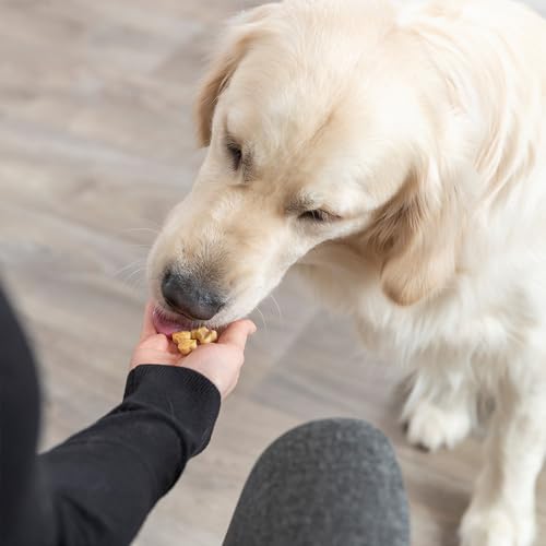 Hunde Smoothie SmoothieDog 6er Mix + Trixie Backmatte Pink - je 2X: Huhn, Rind, Lamm - Hundeleckerli selber Machen - Zucker- & glutenfrei - Hundekekse, BPA-Frei - je 250ml