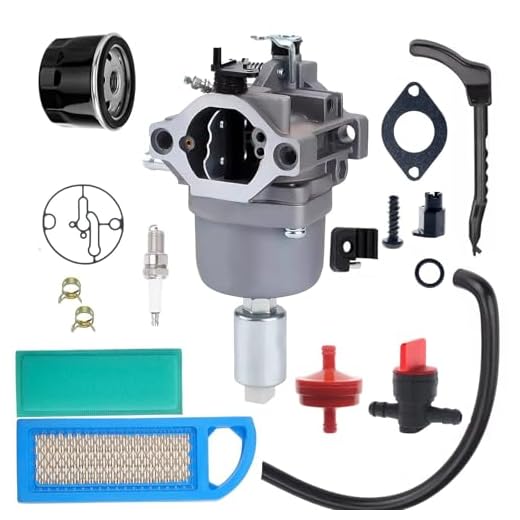 RYTIME Carburetor Kit For Briggs & Stratton