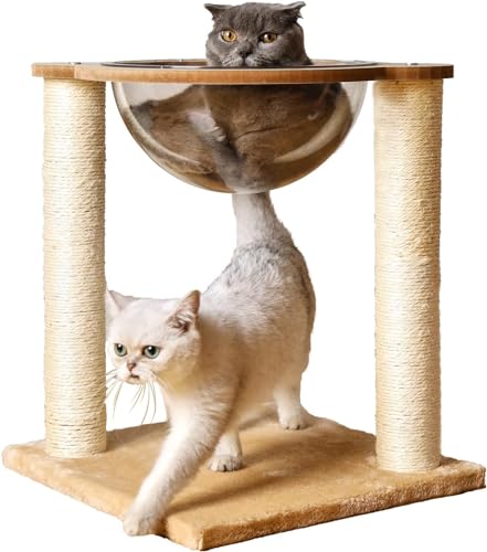 VGVGL ܂Ƃ FD JvZ L̈v ؓo^[ JvZ lRpQ LpnEX R߂Ƃ Sf 360° Lbg ybgpiȃXy[X̃|Xg zՃLbg LnnbN lR zՃ^C ω׏d15KG (x