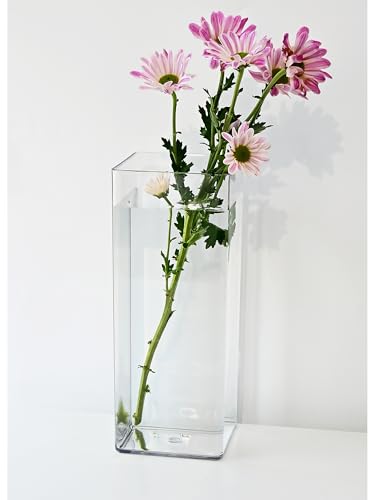 Modern Simplicity, Shatterproof Flower Vase, High-strength Plastic Vases for Daily Care of Flowers, Home Decoration, Perfect for Home with Energetic Children or Pets - 1 vase, 25cm tall, clear