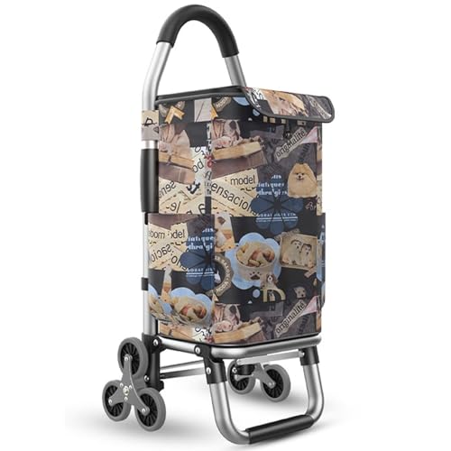 Carrito de la compra plegable con bolsa desmontable y ruedas grandes para un transporte sin esfuerzo