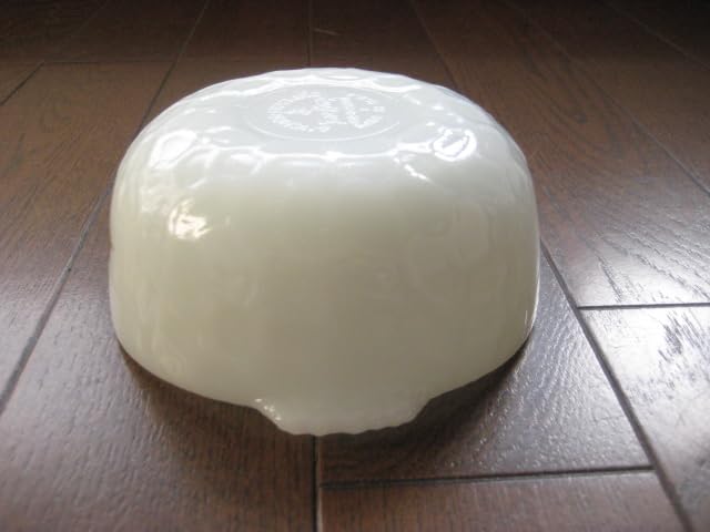 ファイヤーキング チリボウル スープボウル 6色6個セット Amazon.co.jp: ファイヤーキング 恐竜 シリアルボウル チリボウル