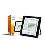 wipro D913065 30 Watts Flood Light, Cool Day White, Square
