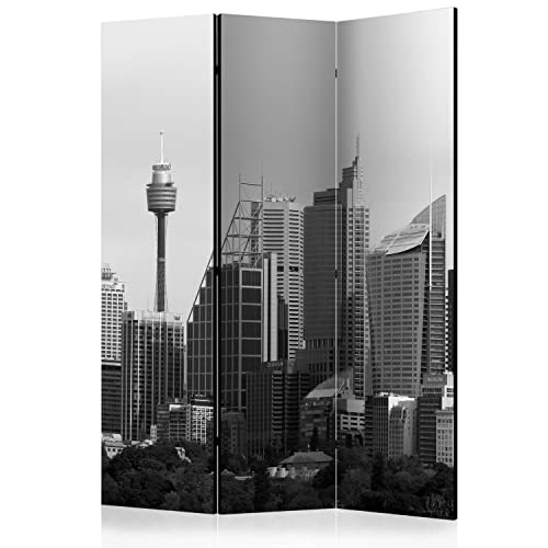 artgeist Acoustic Room Divider City 53x68 in - Double-Sided Folding Screen Print on Non-Woven Canvas Acoustic Foam 3 Panel Home Office Sydney Cloud Scratches Building d-B-0280-z-b