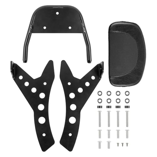 Dosseret amovible Rebel 1100 pour des escapades en duo confortables en appui-dos CMX1100