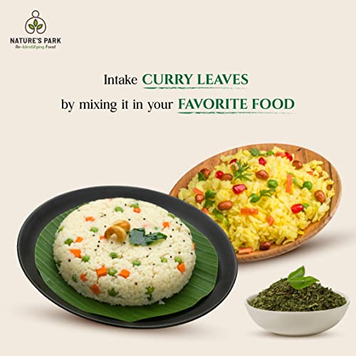Image of Nature's Park Herb - Curry Leaves Dry Kadi Patta in Pet Jar (40gm)