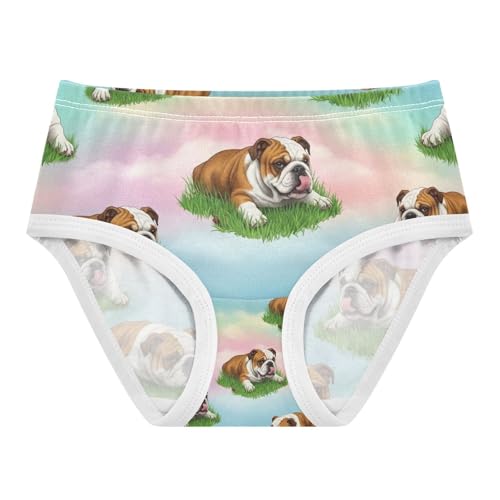 Girl Underwear, Dogs Lying Grass Toddler Girl Panties, Girls Cotton Underwear, 2T–8 Years