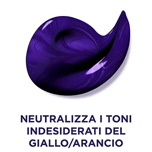 L'Oréal Paris Anti-Gelb Color Vive Purple Shampoo, Shampoo für gebleichtes Haar, Blond, Grau, 200 ml