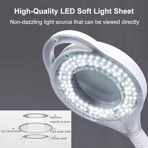 Lampe d'examen médical à LED mobile avec col de cygne et loupe 8X