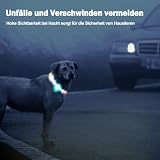 Nepfaivy Leuchthalsband Hund USB Aufladbar - Wasserdichtes Hundehalsband Leuchtend mit Verstellbarer Länge, LED Halsband für Hunde mit 3 Beleuchtungsmodi für Sicherheit, Mehrfarbig