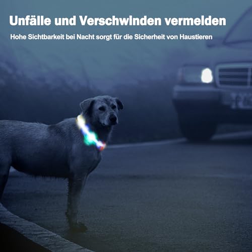 Nepfaivy Leuchthalsband Hund USB Aufladbar - Wasserdichtes Hundehalsband Leuchtend mit Verstellbarer Länge, LED Halsband für Hunde mit 3 Beleuchtungsmodi für Sicherheit, Mehrfarbig
