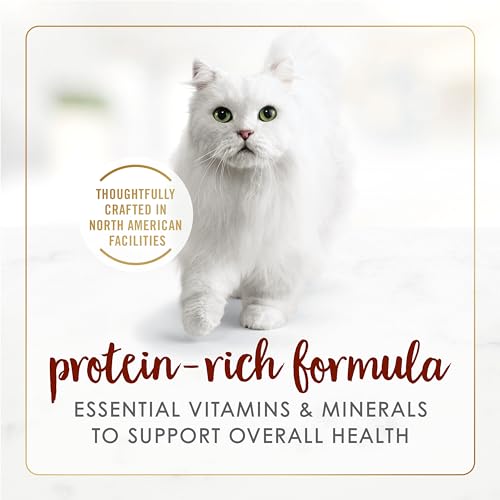 Fancy Feast Wet Cat Food, Pate Beef Flavour - 85 g Can (24 Pack) image 6