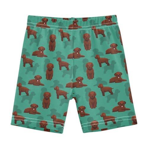 Girls' Shorts Soft Summer Soft Boxers Short Dog Lagotto Romagnolo Leggings Dance Bottoms