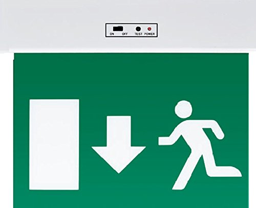 Preisvergleich Produktbild LED Notausgangsbeleuchtung / Ausgangsbeleuchtung / Not / Notleuchte / Fluchtweg / IP21 (Notbeleuchtung Nach Unten)