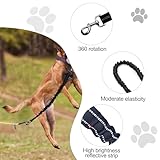 Generisch Ruckdämpfer Hund 45cm, Hundeleine Nylon mit Tiger Zahn Metallclip, Reflektierend Leinenverlängerung für zum Joggen, Radfahren, Spazierengehen